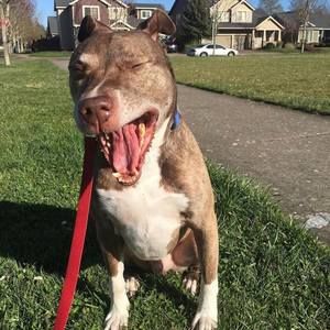 Meet your Posher, Sohee